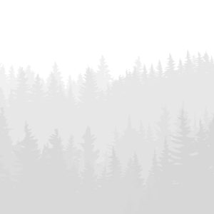 /app/uploads/2023/08/sustainability_bg.jpg