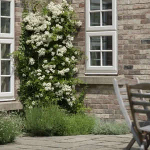 upvc windows