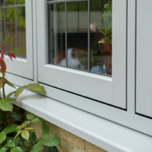 TimberLine Windows